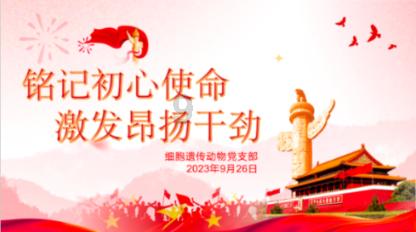 逃离宝船